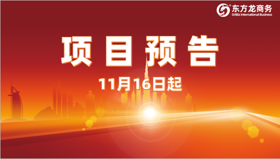 積極轉(zhuǎn)化進(jìn)博項(xiàng)目，加速成效顯現(xiàn)！11月16日起，17家優(yōu)質(zhì)投資選址企業(yè)精準(zhǔn)對(duì)接全國政府園區(qū)