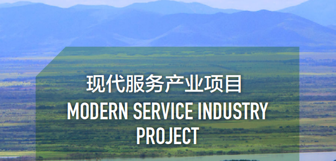 集團全力助推黑龍江省同江市委托招商引資，充分挖掘開發(fā)潛能，再次綻放邊陲魅力